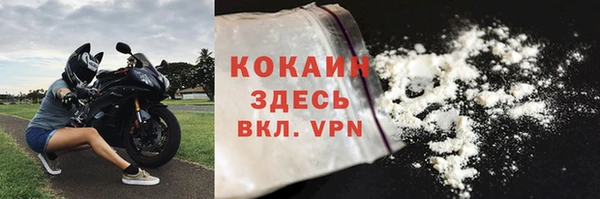 ECSTASY Бородино