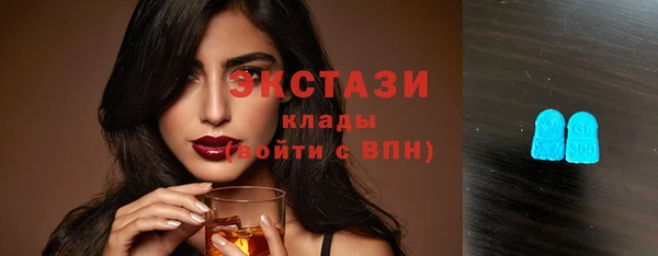 ECSTASY Бородино