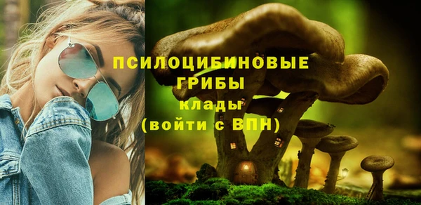 ALPHA-PVP Богородск