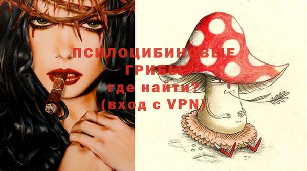 мескалин Богородицк