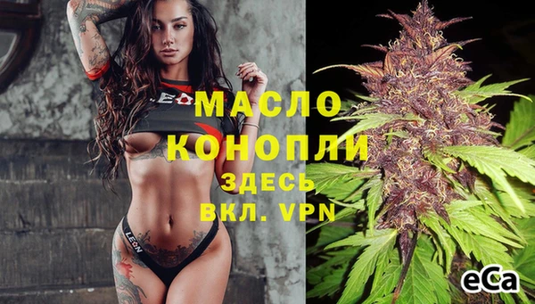 ECSTASY Бородино