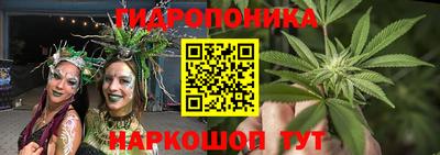 ешки Бийск