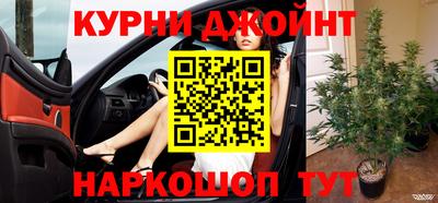 ешки Бийск