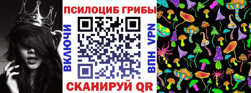 где продают   Верхний Уфалей  Псилоцибиновые грибы мицелий 