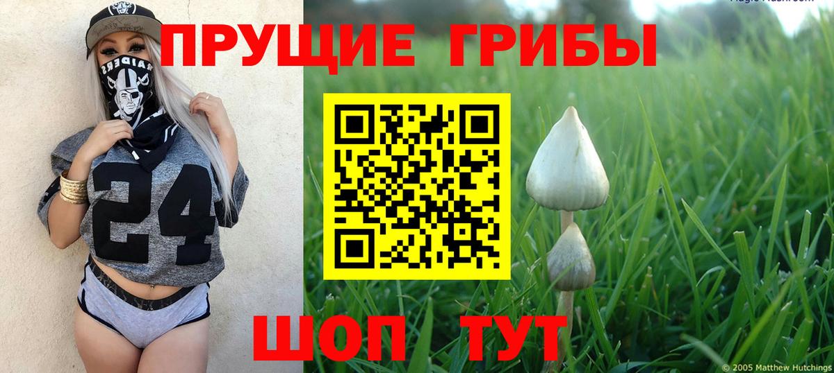 Верхний Уфалей  Галлюциногенные грибы GOLDEN TEACHER  Галлюциногенные грибы ЛСД  Вход с VPN 